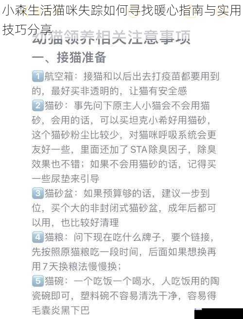 小森生活猫咪失踪如何寻找暖心指南与实用技巧分享