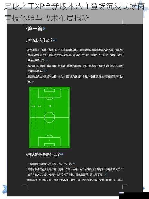 足球之王XP全新版本热血登场沉浸式绿茵竞技体验与战术布局揭秘