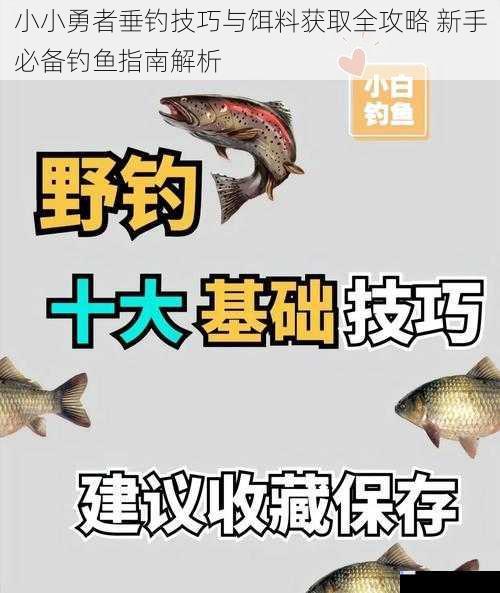 小小勇者垂钓技巧与饵料获取全攻略 新手必备钓鱼指南解析