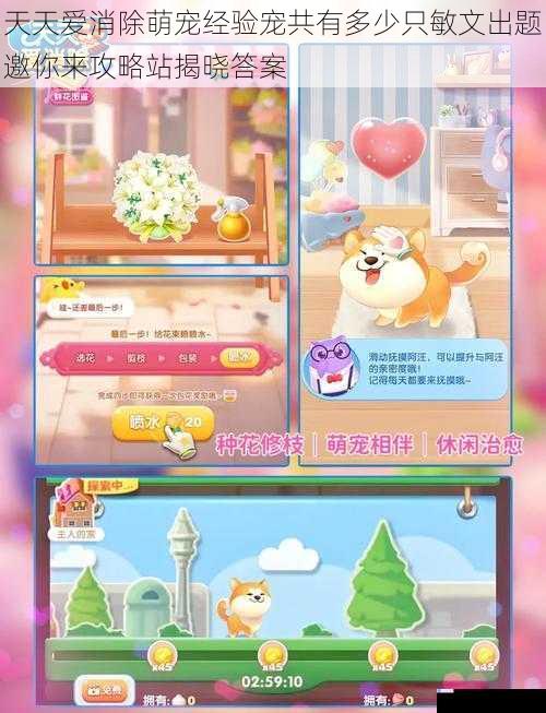 天天爱消除萌宠经验宠共有多少只敏文出题邀你来攻略站揭晓答案