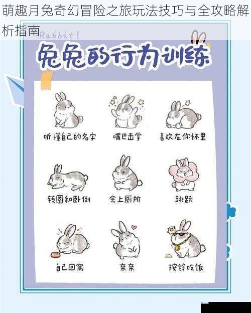 萌趣月兔奇幻冒险之旅玩法技巧与全攻略解析指南