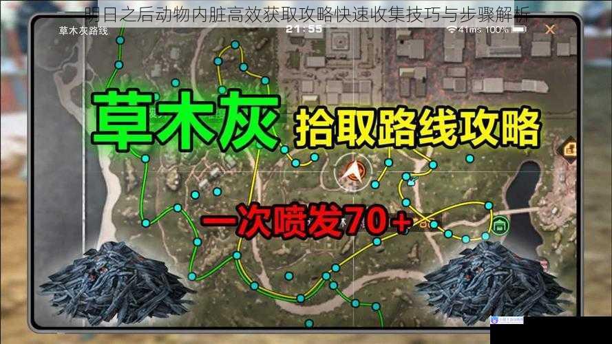 明日之后动物内脏高效获取攻略快速收集技巧与步骤解析