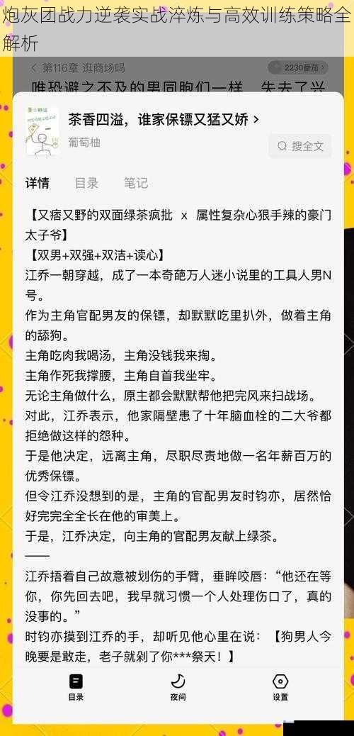炮灰团战力逆袭实战淬炼与高效训练策略全解析