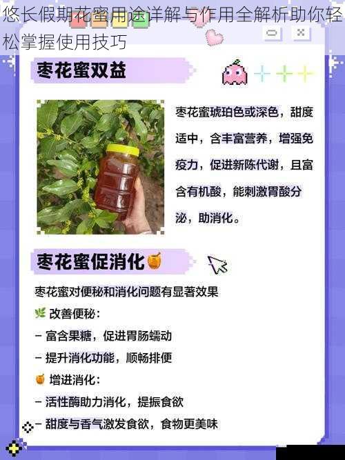 悠长假期花蜜用途详解与作用全解析助你轻松掌握使用技巧