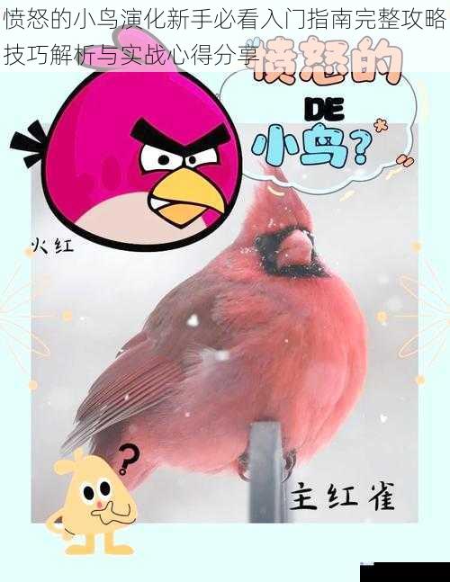 愤怒的小鸟演化新手必看入门指南完整攻略技巧解析与实战心得分享