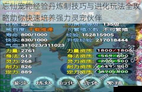 忘仙宠物经验丹炼制技巧与进化玩法全攻略助你快速培养强力灵宠伙伴