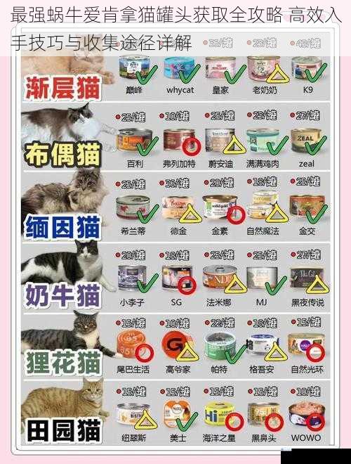 最强蜗牛爱肯拿猫罐头获取全攻略 高效入手技巧与收集途径详解
